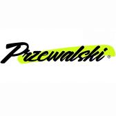 Przewalski