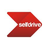 Selfdrive logo